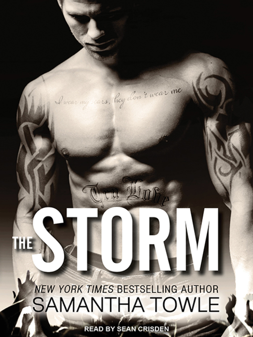 Title details for The Storm by Samantha Towle - Available